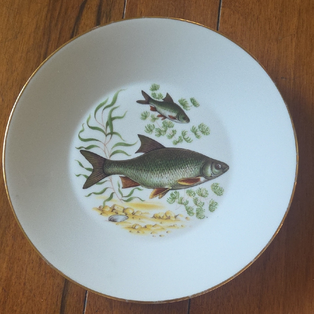 Elegant Mid-Century Fish Design Dinner Plate 9.5"